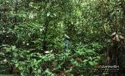 ลุยป่าพาไป-น้ำตกโกรกอีดก-ความสวยใกล้ๆกทม-จ.สระบุรี