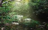 เดินป่า-น้ำตกเขาแคบ-จ.สระบุรี-พักในป่า-1-คืนขำๆ-ปี-2558