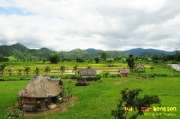 ปายฝน...ต้นหนาว-August-8-2012