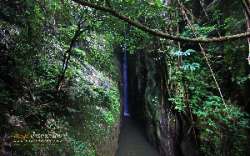 รวบรวมเส้นทางการเดินป่า-จ.สระบุรี-นครนายก-สำหรับคนชอบเข้าป่า