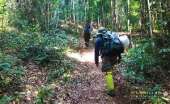 ทุ่งหญ้าเหลืองทองที่-ทุ่งเขาแหลม-ณ.อุทยานแห่งชาติเขาใหญ่