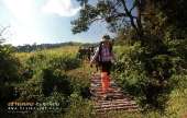 ทุ่งหญ้าเหลืองทองที่-ทุ่งเขาแหลม-ณ.อุทยานแห่งชาติเขาใหญ่
