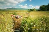 ทุ่งหญ้าเหลืองทองที่-ทุ่งเขาแหลม-ณ.อุทยานแห่งชาติเขาใหญ่