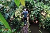 ทุ่งหญ้าเหลืองทองที่-ทุ่งเขาแหลม-ณ.อุทยานแห่งชาติเขาใหญ่