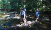 ทุ่งหญ้าเหลืองทองที่-ทุ่งเขาแหลม-ณ.อุทยานแห่งชาติเขาใหญ่