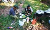 ทุ่งหญ้าเหลืองทองที่-ทุ่งเขาแหลม-ณ.อุทยานแห่งชาติเขาใหญ่
