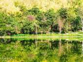 เก็บกระเป๋าไปสุพรรณบุรี-เพราะที่นี่เขาก็มีปางอุ๋ง-ณ-อ่างเก็บน้ำเขาวง