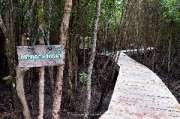 ศูนย์การท่องเที่ยวเชิงธรรมชาติ-หาดทรายดำและป่าชายเลน-ตราด