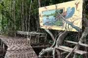 ศูนย์การท่องเที่ยวเชิงธรรมชาติ-หาดทรายดำและป่าชายเลน-ตราด