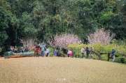 เที่ยวเชียงใหม่-4-วัน-3-ดอย-อ่างขาง-–-อินทนนท์-ดอยสุเทพ-แว้น-มอเตอร์ไซค์