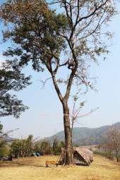 อุทยานแห่งชาติพุเตย-หน่วยพิทักษ์อุทยานแห่งชาติที่-3-ตะเพินคี่-จ.สุพรรณบุรี