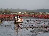 ล่องเรือชม-ทะเลบัวแดง-อุทยานนกน้ำทะเลน้อย-จ.พัทลุง