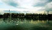 ให้อาหารแกะ-ร้านอาหารถ่ายรูป-ที่คลอง-6-ธัญบุรี-คันทรีเพลส