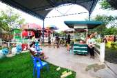 ให้อาหารแกะ-ร้านอาหารถ่ายรูป-ที่คลอง-6-ธัญบุรี-คันทรีเพลส