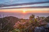ดอยหลวงเชียงดาว-ภาพที่อยากให้คุณไปเห็นด้วยตาตัวเอง
