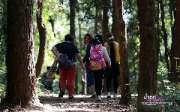 น้ำตกผาดอกเสี้ยว-เที่ยวเที่ยวง่ายๆกับน้ำตกสวยๆ-ดอยอินทนนท์-ตามรอยหนังไทย-รักจัง!-จ.เชียงใหม่
