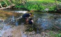 ไร่อุโมงค์น้ำ-ที่พักติดลำธาร-พาครอบครัวเที่ยวเพื่อนฝูงพักสบายๆหรือจะไป-แหกปากกับเพื่อนๆ-อ.สวนผึ้ง-จ.ราชบุรี