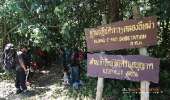 เดินป่า-คลองอีเฒ่า-ณ.เขาใหญ่-เดินง่ายๆ-3.9-กม-ถึงที่หมาย