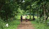 เดินป่าที่สระบุรี-นอนริมลำธาร-ที่คลองผักหนาม-2017-ทริปง่ายๆแค่อยากนอนฟังเสียงฝน