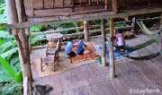 บ้านต้นไม้-แม่แมะ-จ.เชียงใหม่