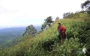 เดินป่า-ช่อใหญ่..-ณ.เขาช่อ-สระบุรี-ใกล้ๆนี่เอง-กับวิวทิวเขาสวยๆ