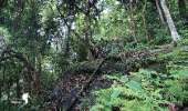 อุทยานแห่งชาติรามคำแหง-อช.รามคำแหง-เขาหลวงสุโขทัย