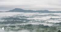 ทุ่งแสลงหลวง-ทุ่งหญ้าในทะเลหมอก-ทริปกระต่ายแดงแสลงหลวง-เขาค้อ-จ.เพชรบูรณ์