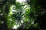 Koh-Kood-Island-Resort-เกาะกูด-ไอร์แลนด์-รีสอร์ท