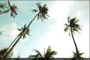 Koh-Kood-Island-Resort-เกาะกูด-ไอร์แลนด์-รีสอร์ท