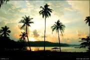 Koh-Kood-Island-Resort-เกาะกูด-ไอร์แลนด์-รีสอร์ท