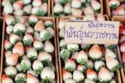 ทริปเที่ยวอ่างขางก่อนปีใหม่