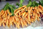 ทริปเที่ยวอ่างขางก่อนปีใหม่