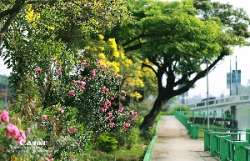 ออกถ่าย-เหลืองปรีดียาธร-กัน
