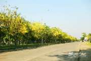 พิพิธภัณฑ์วิทยาศาสตร์-คลอง-5-ธัญบุรี