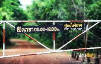 พาเที่ยว-อุทยานแห่งชาติปางสีดา-ช่วงที่ไม่มีผีเสื้อ