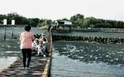 รีวิวร้าน-ขอบฟ้าลาตะวัน-ร้านอาหารริมทะเลไกล้กรุงเทพ