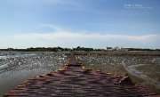 รีวิวร้าน-ขอบฟ้าลาตะวัน-ร้านอาหารริมทะเลไกล้กรุงเทพ