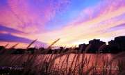 ท่าเรือมหาราช-ท่ามหาราช